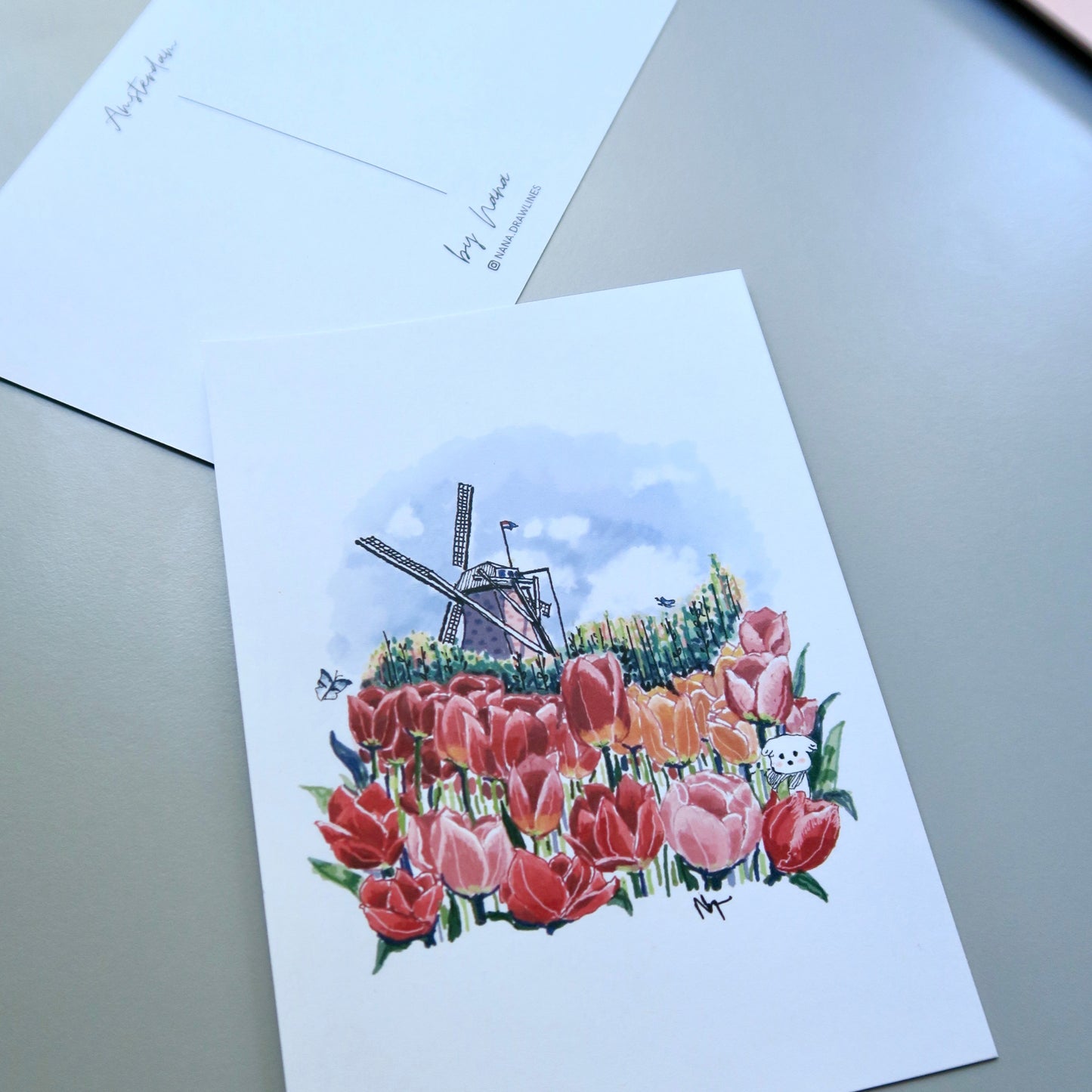 Tulip 💐