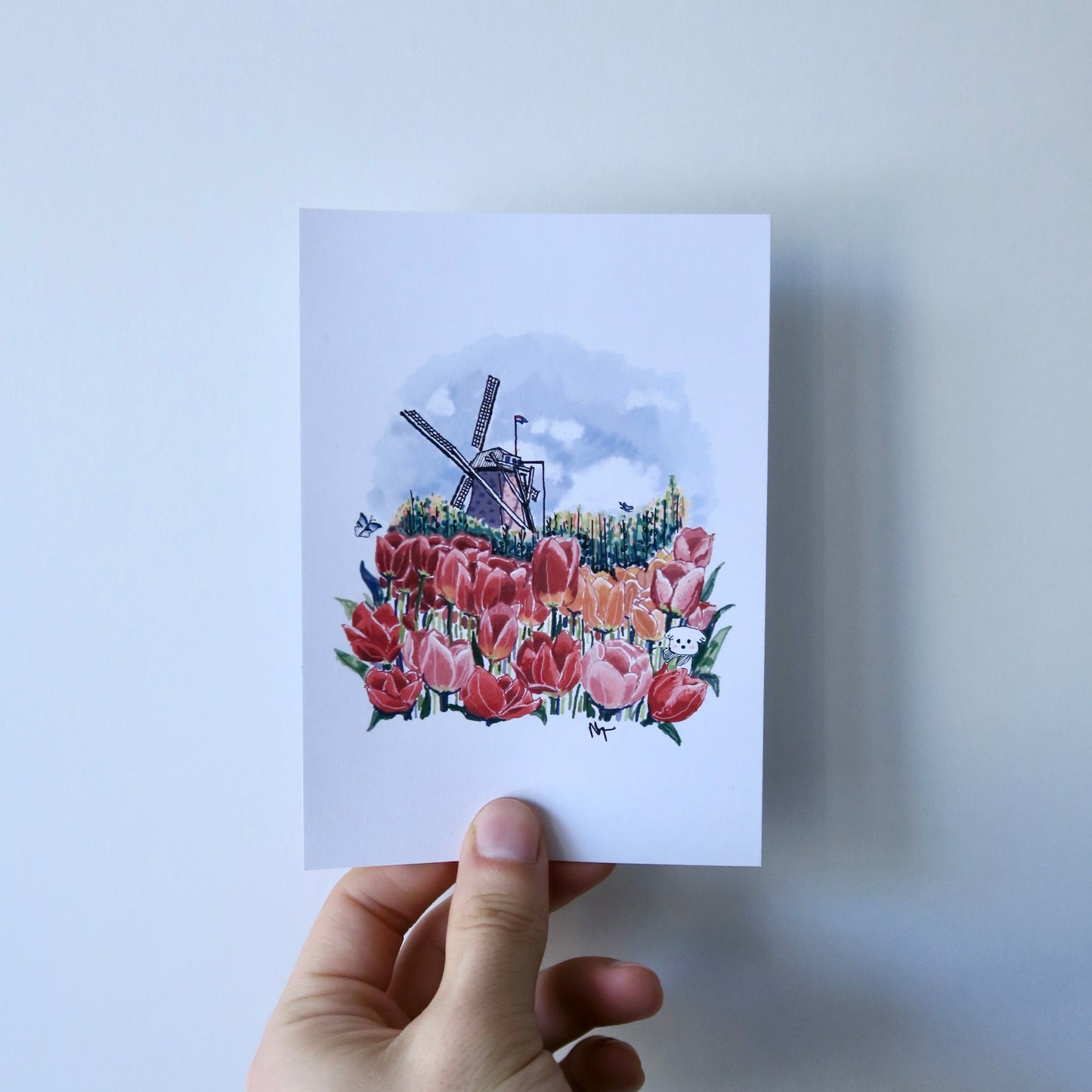 Tulip 💐
