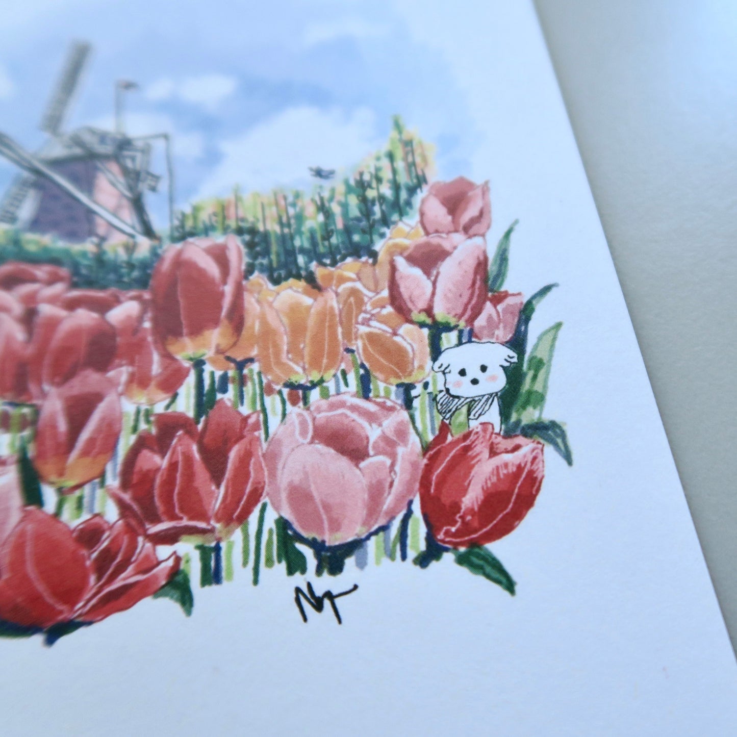Tulip 💐